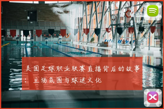 美国足球职业联赛直播背后的故事：主场氛围与球迷文化