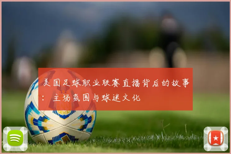 美国足球职业联赛直播背后的故事：主场氛围与球迷文化