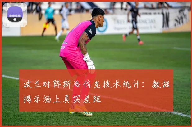波兰对阵斯洛伐克技术统计:数据揭示场上真实差距