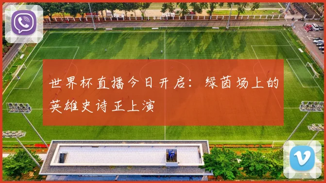 世界杯直播今日开启:绿茵场上的英雄史诗正上演