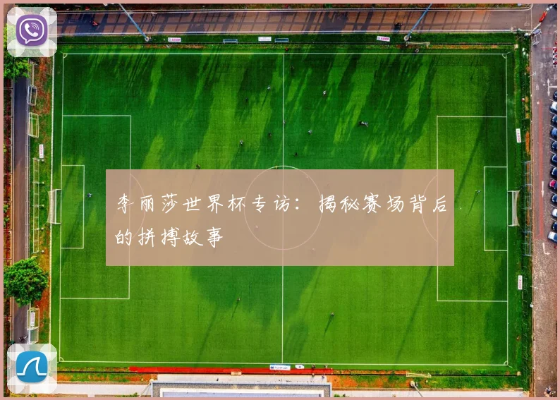 李丽莎世界杯专访：揭秘赛场背后的拼搏故事