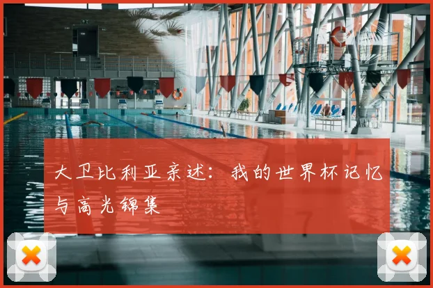 大卫比利亚亲述：我的世界杯记忆与高光锦集