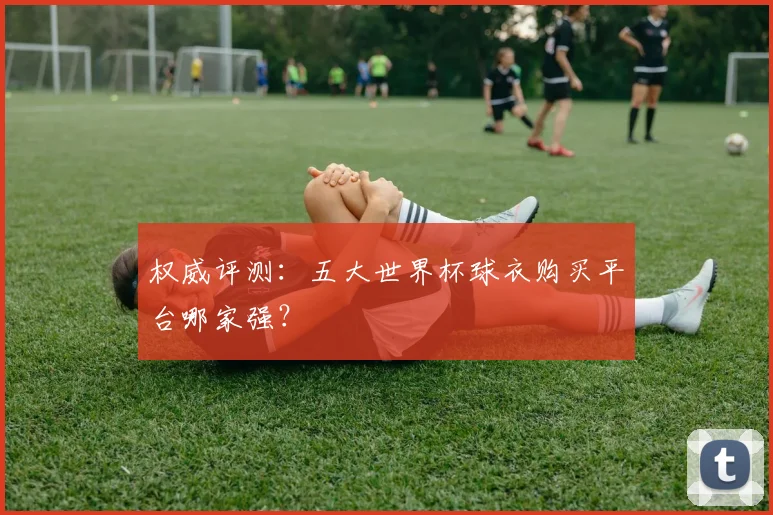权威评测：五大世界杯球衣购买平台哪家强？