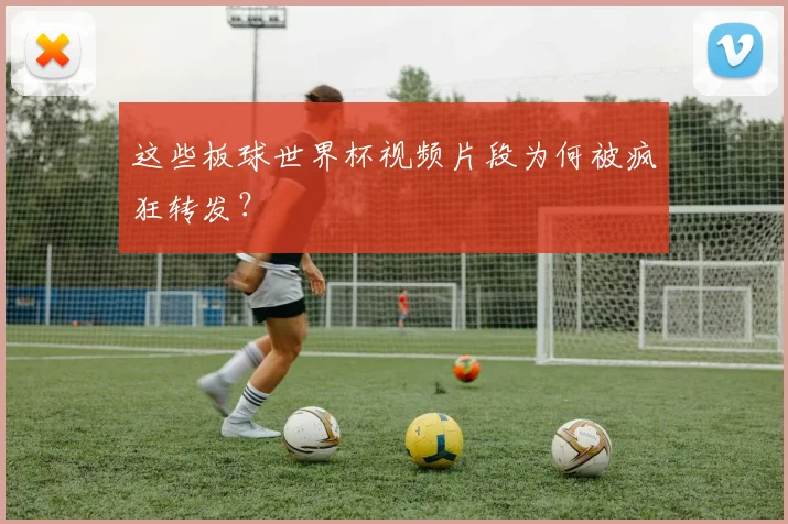 这些板球世界杯视频片段为何被疯狂转发？