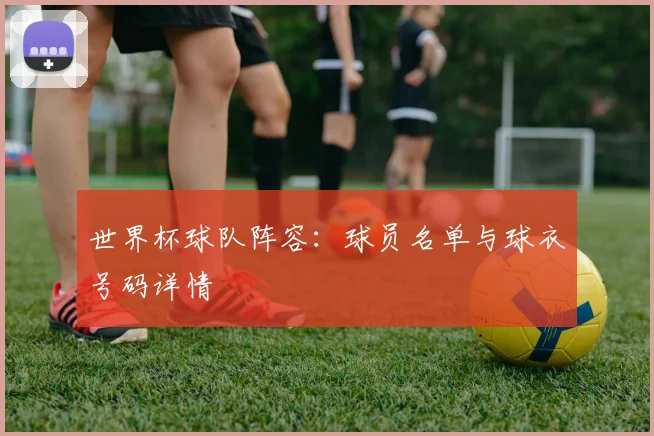 世界杯球队阵容:球员名单与球衣号码详情