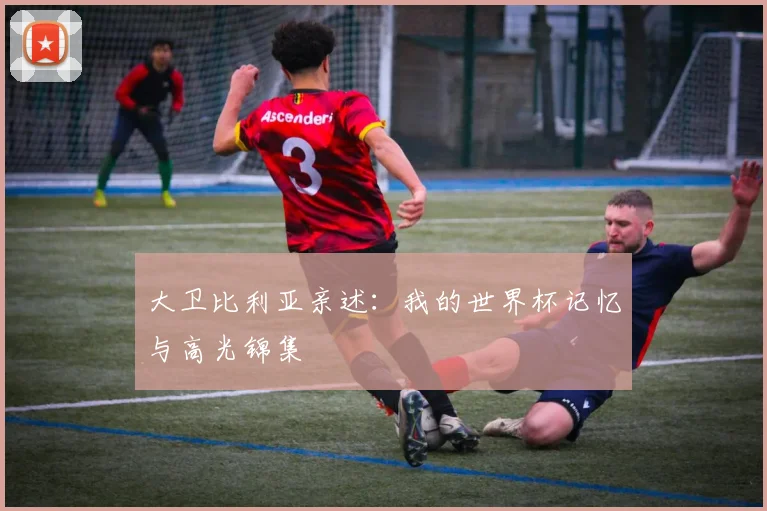 大卫比利亚亲述：我的世界杯记忆与高光锦集